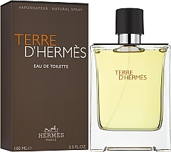 Hermes Terre dHermes - Eau de Toilette — photo N2