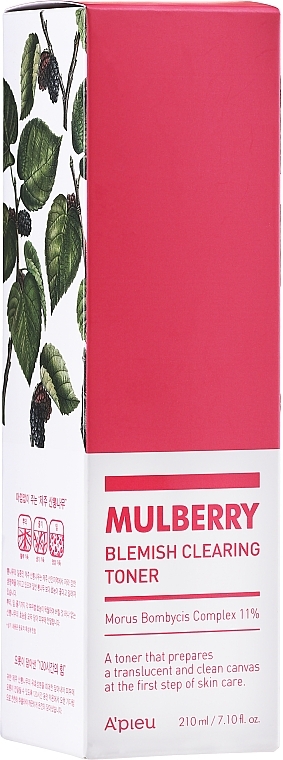 Cleansing Toner for Blemish-Prone Skin - A'Pieu Mulberry Blemish Clearing — photo N1