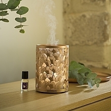 Fragrance Diffuser - Esteban Perfume Mist Diffuser Light &Copper Edition — photo N2