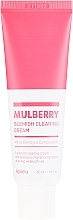 Face Cream for Problem Skin - A'pieu Mulberry Blemish Clearing Cream — photo N2