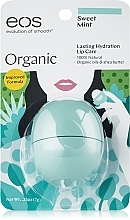 Lip Balm "Mint" - EOS Smooth Sphere Lip Balm Sweet Mint — photo N2