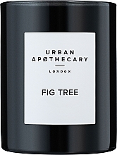 Urban Apothecary Fig Tree - Scented Candle — photo N1