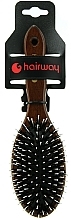 Fragrances, Perfumes, Cosmetics Oval Massage Hair Brush, black, porcupine bristles - Hairway 