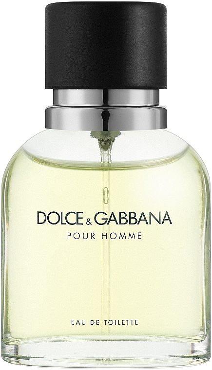 Dolce & Gabbana Pour Homme - Eau de Toilette — photo N1