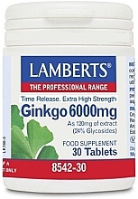 Fragrances, Perfumes, Cosmetics Ginkgo Biloba Dietary Supplement, 6000mg - Lamberts Ginkgo Biloba 6000mg