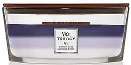 Scented Candle - WoodWick Trilogy Ellipse Evening Luxe Candle — photo N1