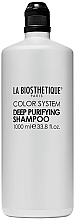 Fragrances, Perfumes, Cosmetics Deep Cleansing Shampoo - La Biosthetique Color System Deep Purifying Shampoo