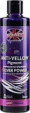 Hair Shampoo - Ronney Professional Anti-Yellow Pigment Silver Power Shampoo — photo N6