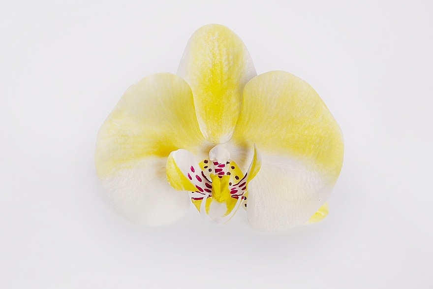 Yellow Orchid Automatic Hair Clip Hair - Katya Snezhkova — photo N1