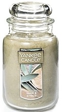 Scented Candle "Sage & Citrus" - Yankee Candle Sage & Citrus — photo N3