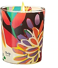 Fragrances, Perfumes, Cosmetics Scented Candle - Baija Vertige Solaire Scented Candle