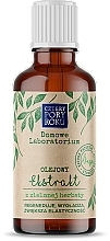 Green Tea Extract - Cztery Pory Roku — photo N6