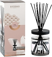Esteban Iris Cachemire - Fragrance Diffuser — photo N1