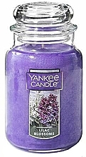 Scented Candle - Yankee Candle Lilac Blossoms — photo N1