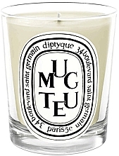 Fragrances, Perfumes, Cosmetics Scented Candle - Diptyque Muguet Candle