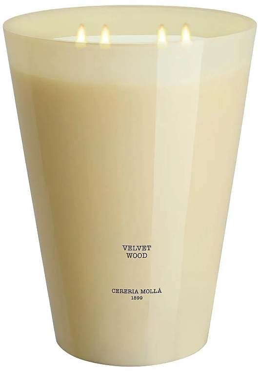 Velvet Tree Scented Candle - Cereria Molla Scented Candle Velvet Wood — photo N1