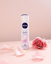 Set - Nivea Care & Roses (deo/spray/150ml + sh/gel/250ml + b/milk/250ml)  — photo N7