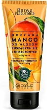 Mango Conditioner - Barwa Natural Conditioner — photo N1