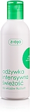 Refreshing Conditioner "Mint" - Ziaja Conditione Mint  — photo N4