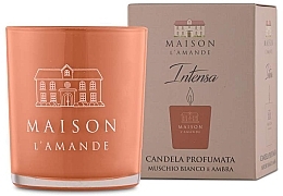 Fragrances, Perfumes, Cosmetics L'Amande Maison Intensa - Scented Candle