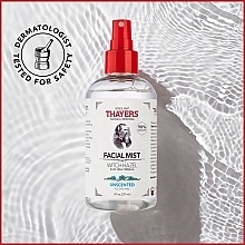 Witch Hazel Facial Mist Toner - Thayers Alcohol-Free Witch Hazel Facial Mist Toner — photo N8