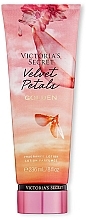 Fragrances, Perfumes, Cosmetics Perfumed Body Lotion - Victoria's Secret Velvet Petals Golden Fragrance Lotion