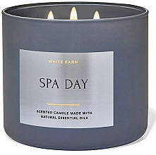 Fragrances, Perfumes, Cosmetics 3-Wick Scented Candle - Bath and Body Works Spa Day Candle