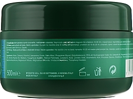 Anti-Dandruff Birch Mask - Orising Anti-dandruff Birch Extract Hair Pack — photo N3