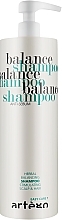 Oily Hair Shampoo - Artego Easy Care T Balance Shampoo — photo N3