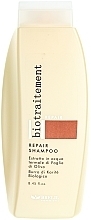 Fragrances, Perfumes, Cosmetics Dry Hair Shampoo - Brelil Bio Traitement Repair Shampoo