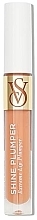 Fragrances, Perfumes, Cosmetics リップグロスプランパー - Victoria`s Secret Warm Blush Pink Shine Extreme Lip Plumper