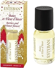 Esteban Berries And Winter Flower - Scented Oil — photo N1