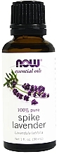 Fragrances, Perfumes, Cosmetics Essential Lavender Broadleaf Oil - Now Foods Essential Oils 100% Pure Spike Lavender