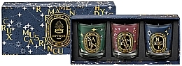 Set - Diptyque Holiday Scented Candles Set — photo N1