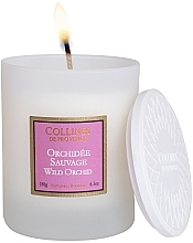 Fragrances, Perfumes, Cosmetics Wild Orchid Scented Candle - Collines De Provence Wild Orchid Scented Candle