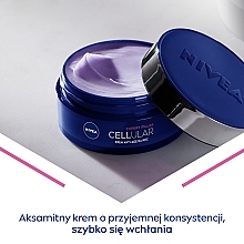 Night Anti-Aging Cream - NIVEA Cellular Anti-Age Skin Rejuvenation Night Cream — photo N3