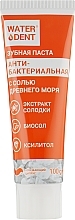 Fragrances, Perfumes, Cosmetics Antibacterial Toothpaste with Ancient Sea Salt - Waterdent