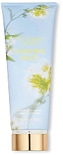 Fragrances, Perfumes, Cosmetics Body Lotion - Victoria's Secret Sunshine Haze Fragrance Lotion