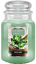 Fragrances, Perfumes, Cosmetics Scented Candle in Jar - Country Candle Fresh Mint