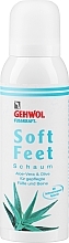 Aloe Vera & Olive Oil Foam with Hyaluronic Acid - Gehwol Fusskraft Soft Feet Foam — photo N1