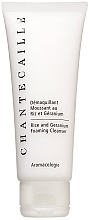 Fragrances, Perfumes, Cosmetics Rice & Geranium Face Cleansing Foam - Chantecaille Rice & Geranium Foaming Cleanser 