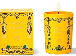 Scented Candle - Acqua di Parma Neve Fresca Candle Limited Edition — photo N1