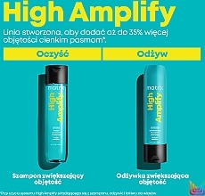 Volumizing Protein Conditioner - Matrix Total Results High Amplify Conditioner — photo N9