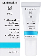 Intensive Care Lip Balm "Mint" - Dr. Hauschka Mint Lip Care — photo N2