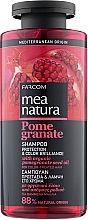 Pomegranate Oil Shampoo for Colored Hair - Mea Natura Pomegranate Shampoo — photo N1