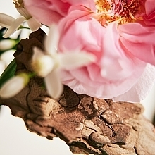 Chloé Rose Naturelle - Eau de Parfum — photo N8