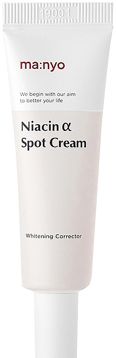 Whitening Cream - Manyo Factory Niacin Alpha & Spot Cream — photo N8