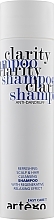 Fragrances, Perfumes, Cosmetics Anti-Dandruff Shampoo - Artego Easy Care T Clarity Shampoo