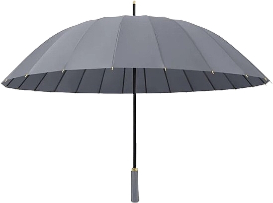 Cane Umbrella, grey PAR11SZ - Ecarla — photo N1