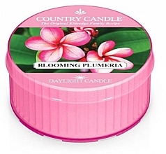 Fragrances, Perfumes, Cosmetics Scented Candle - Kringle Candle Blooming Plumeria